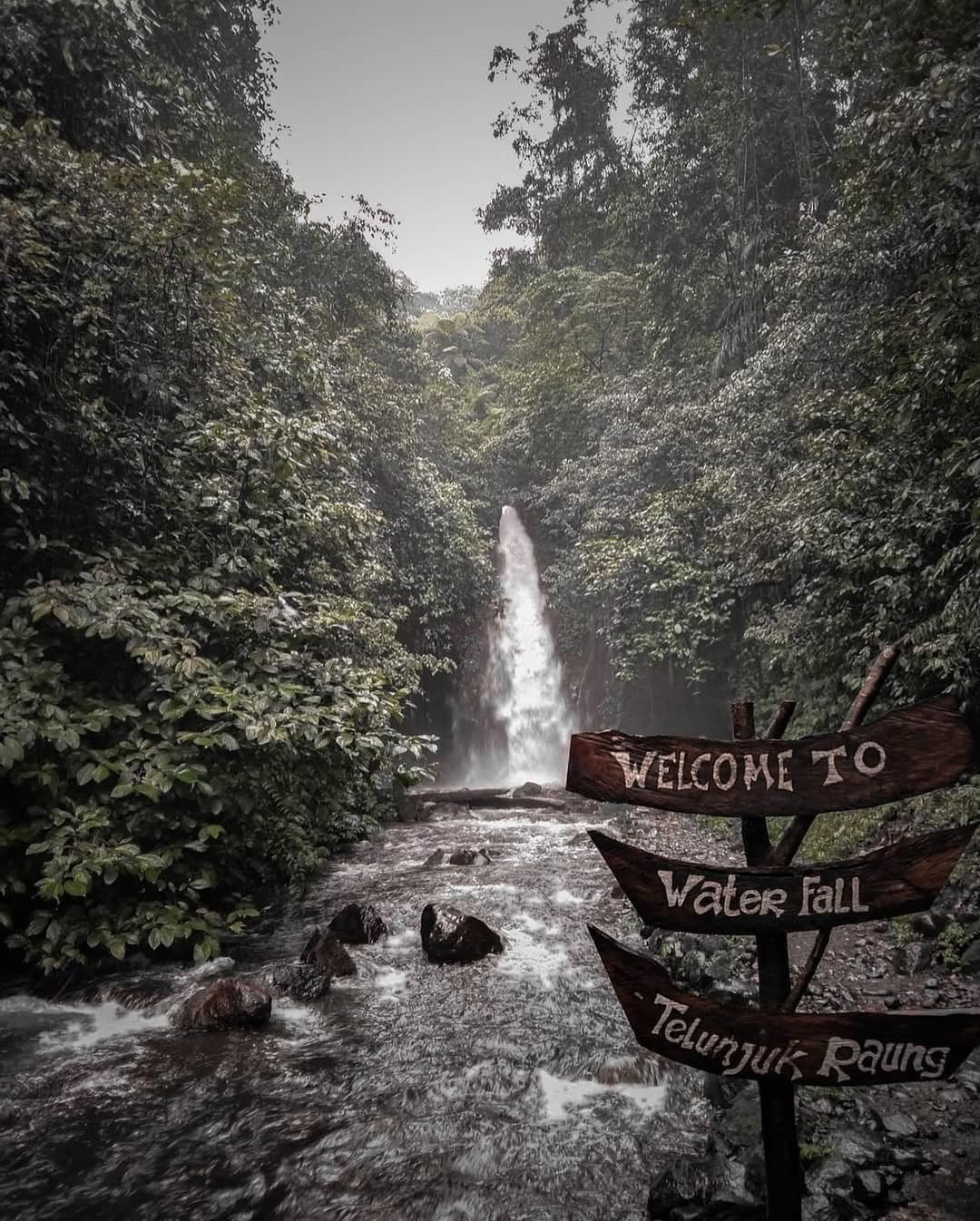 Telunjuk Raung